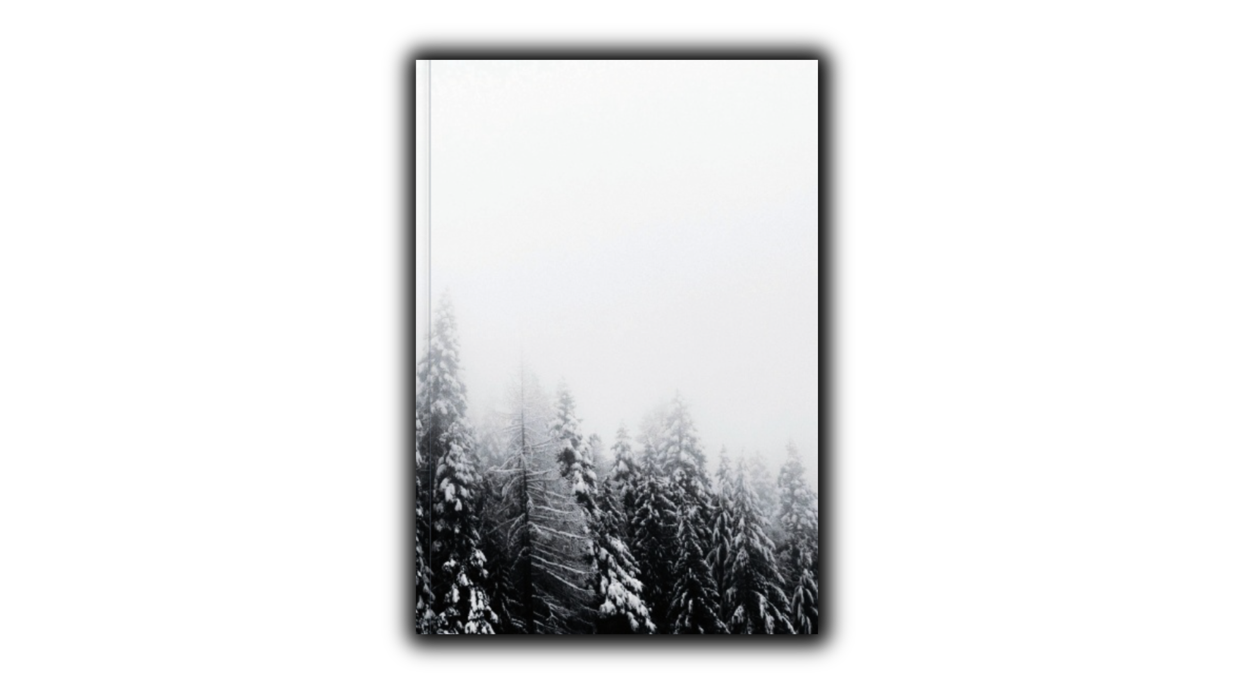 Untitled design-17.png