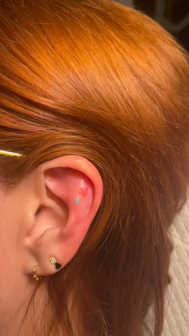 Diapositiva 19
