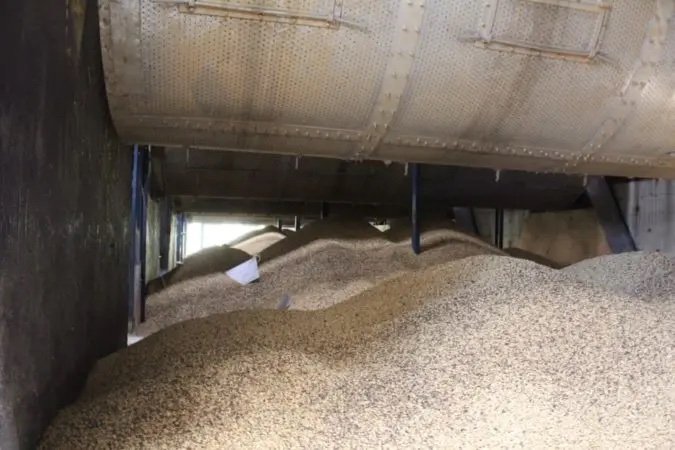 Romelia_Palmichal-drum-dryer-675x450.jpeg