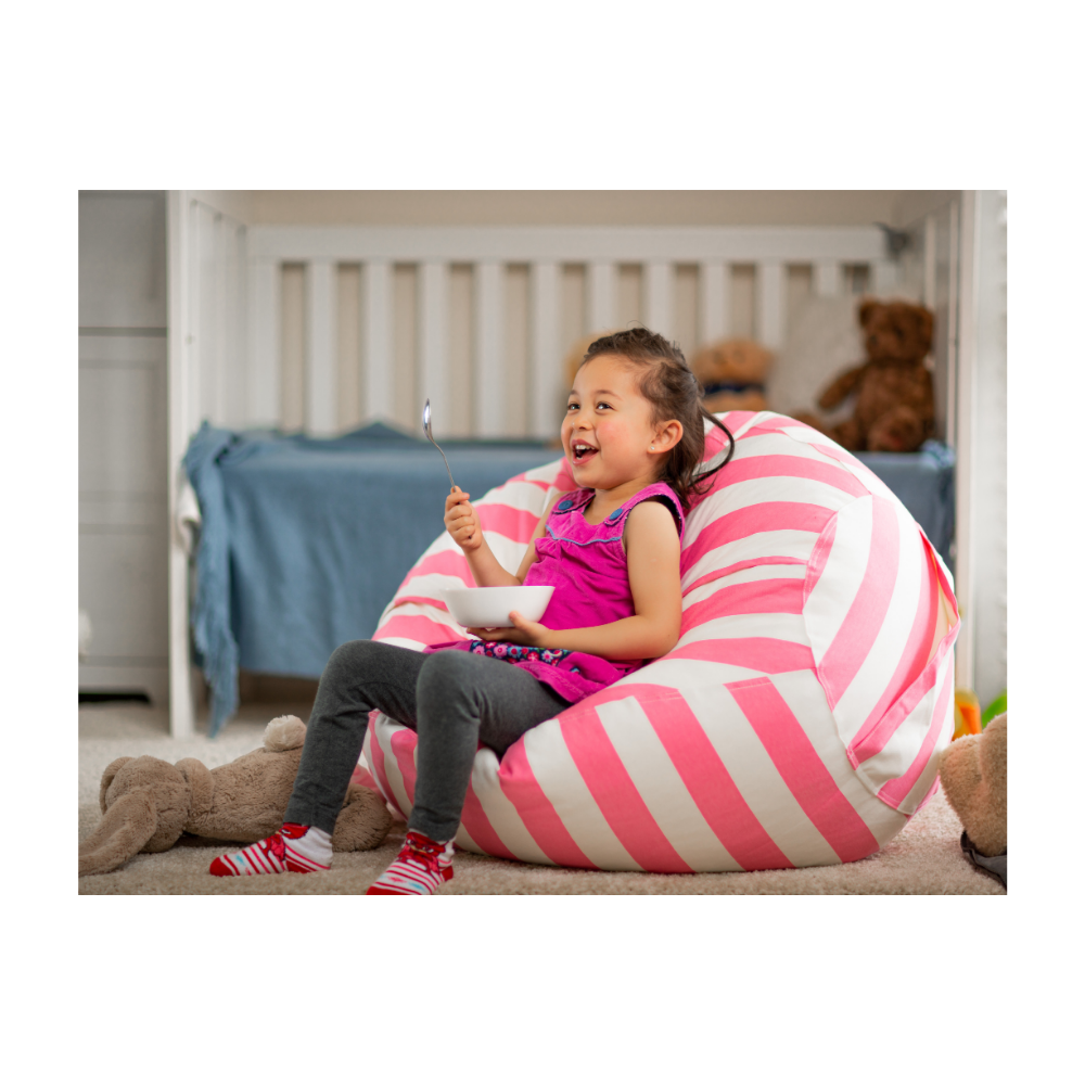 Beanbag Stuffed Animal Storage