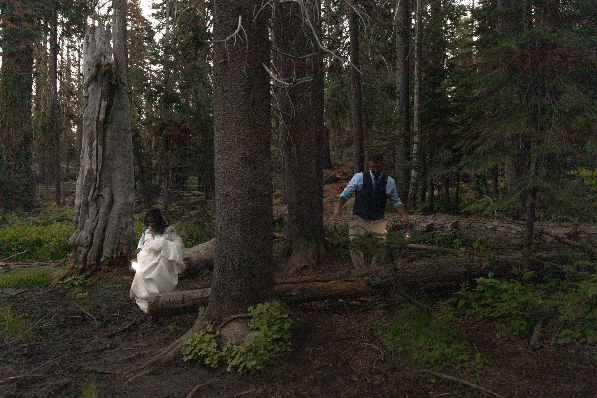 Bride and groom walking in a forest with a lantern