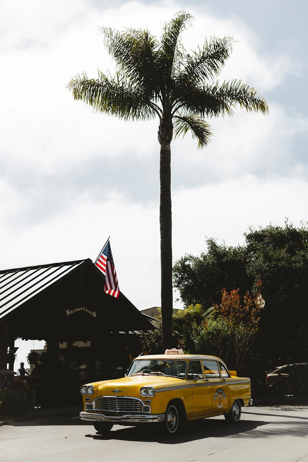 hopebenshadowbrooksantacruzwedding-38.jpg