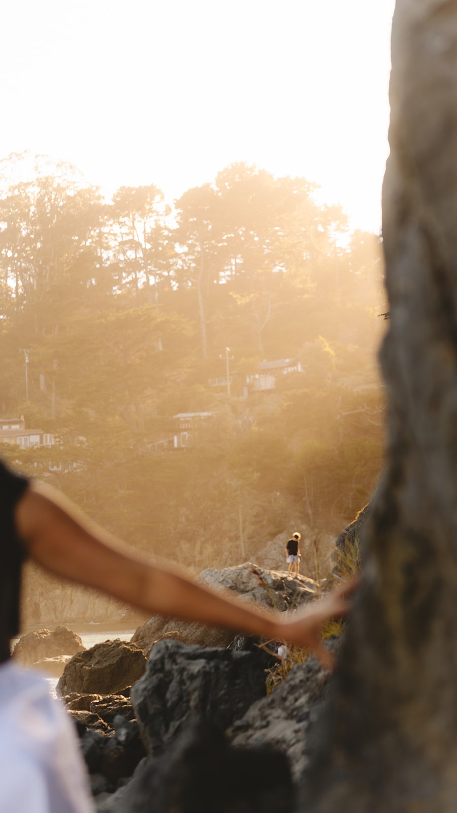millvalleyengagementphotosbyjennarodenmuirwoods-83.jpg