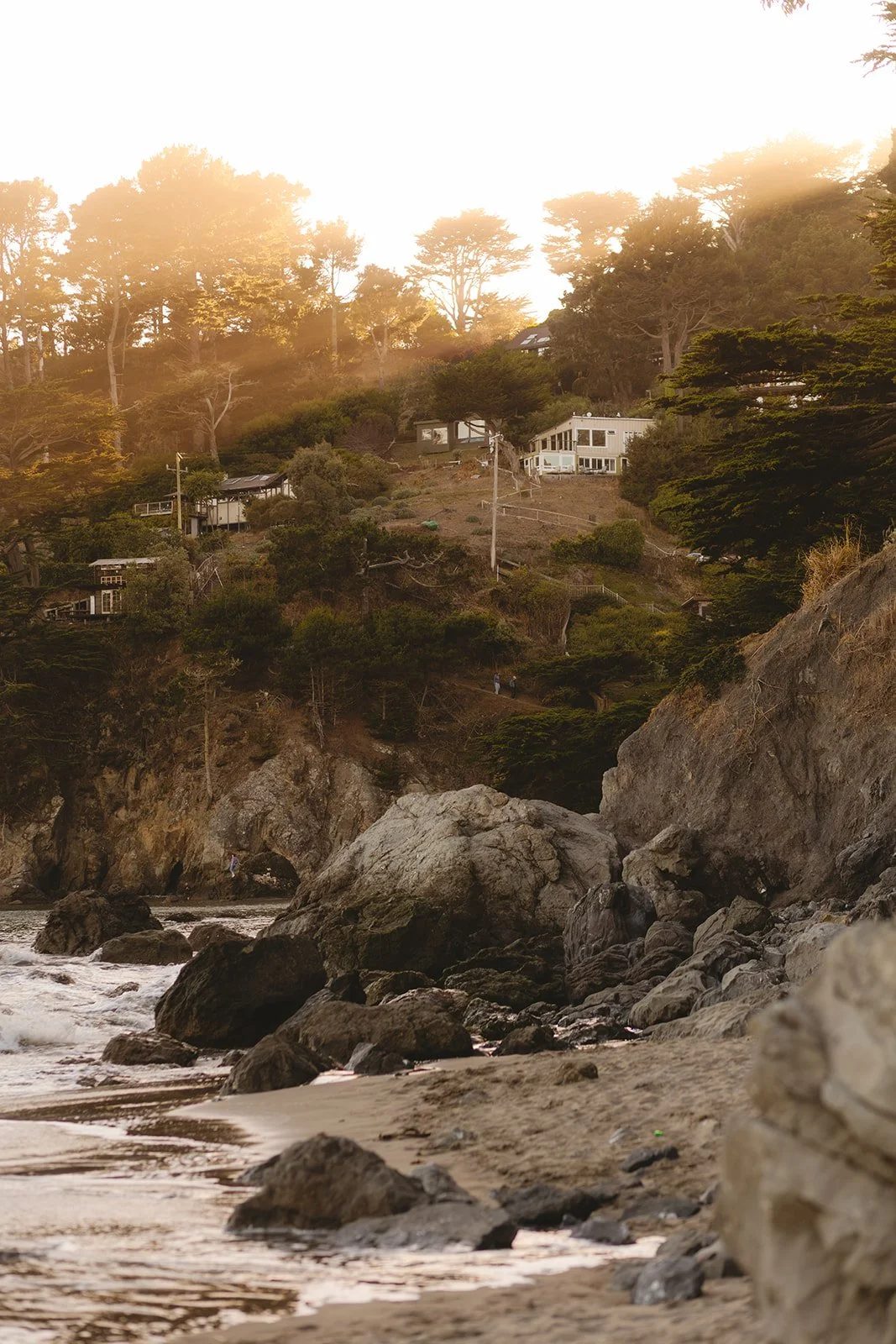 millvalleyengagementphotosbyjennarodenmuirwoods-150.jpg