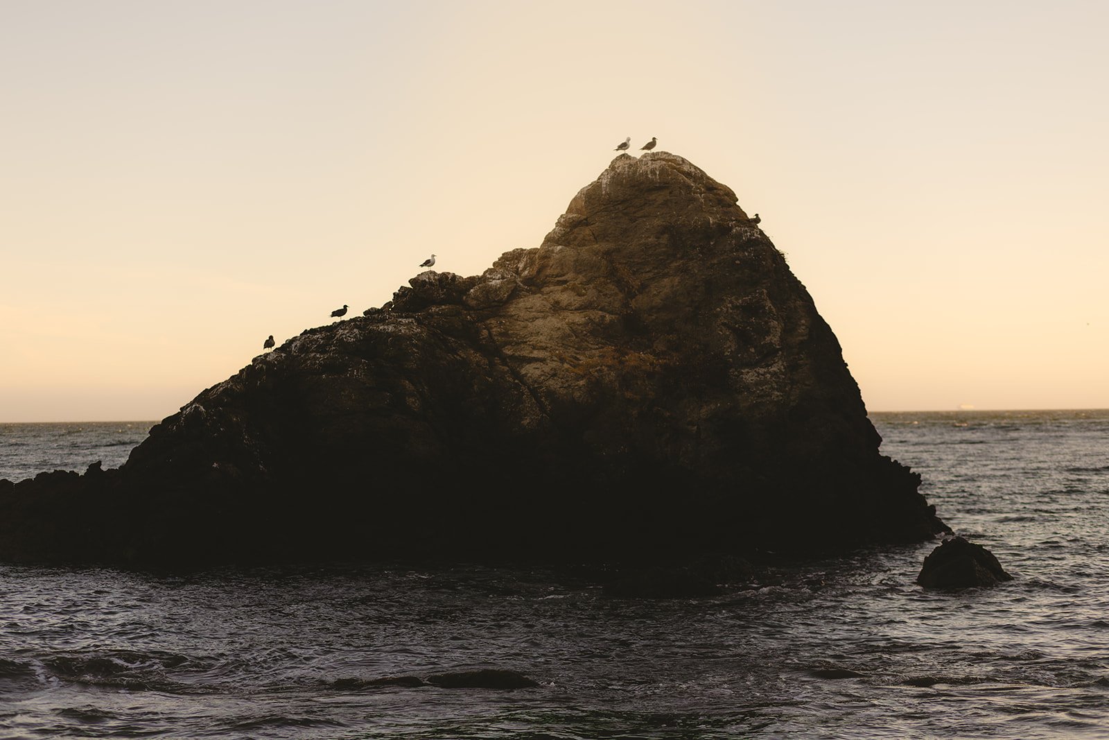 millvalleyengagementphotosbyjennarodenmuirwoods-263.jpg