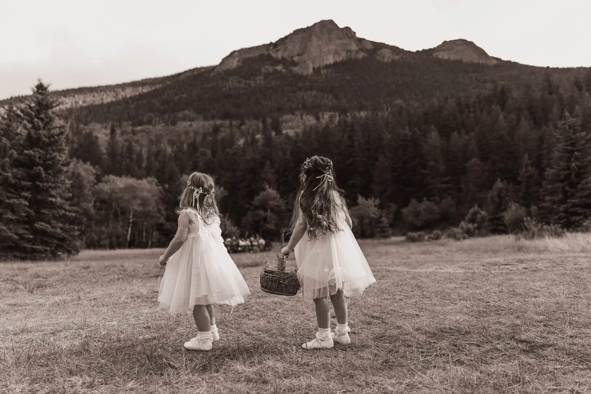 Flower girls walking through an open meadow with mountain views in Estes Park near Rocky Mountain National Park during an intimate elopement