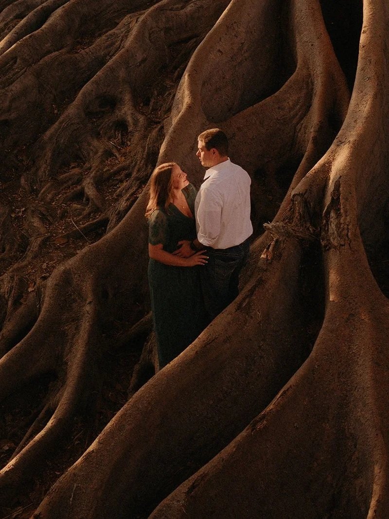 Balboa Park maternity Photos couple standing in Sequoia Tree in San Diego - Golden Hour