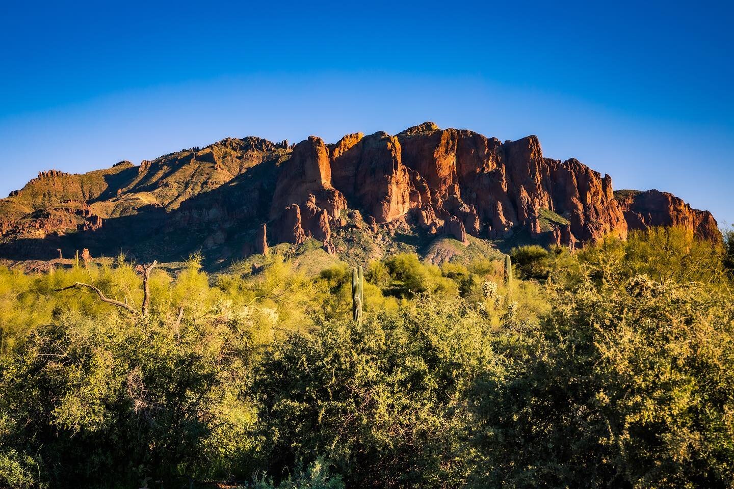 Alright now for an actual desert vignette shot.
Prints available at link in bio!
.
.
.
.
.
#arizona #arizonahiking #arizonalife #arizonaliving #mesa #lostdutchman #lostdutchmanstatepark #desert #cactus