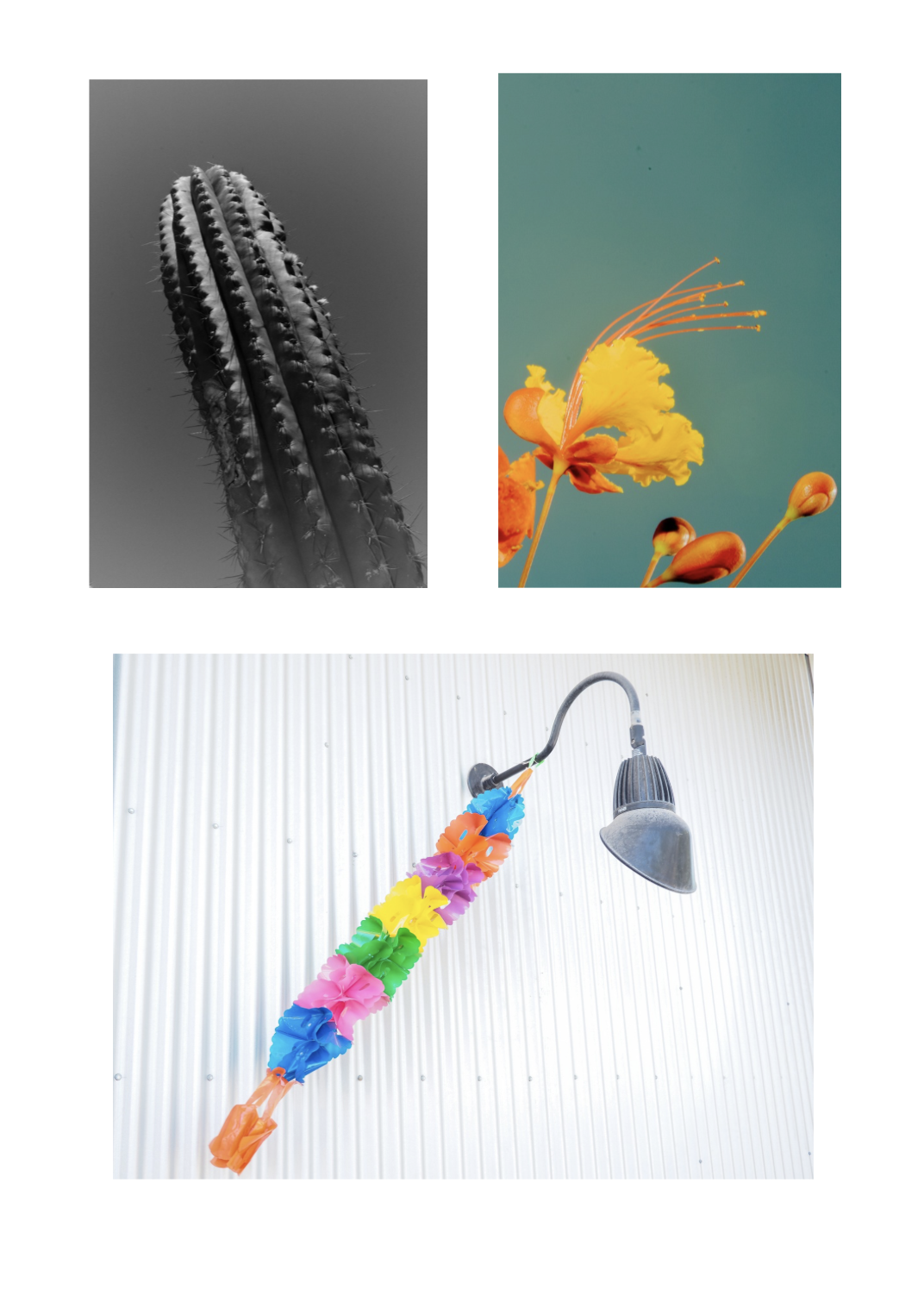 Screenshot 2026-02-25 at 6.42.25 PM.png