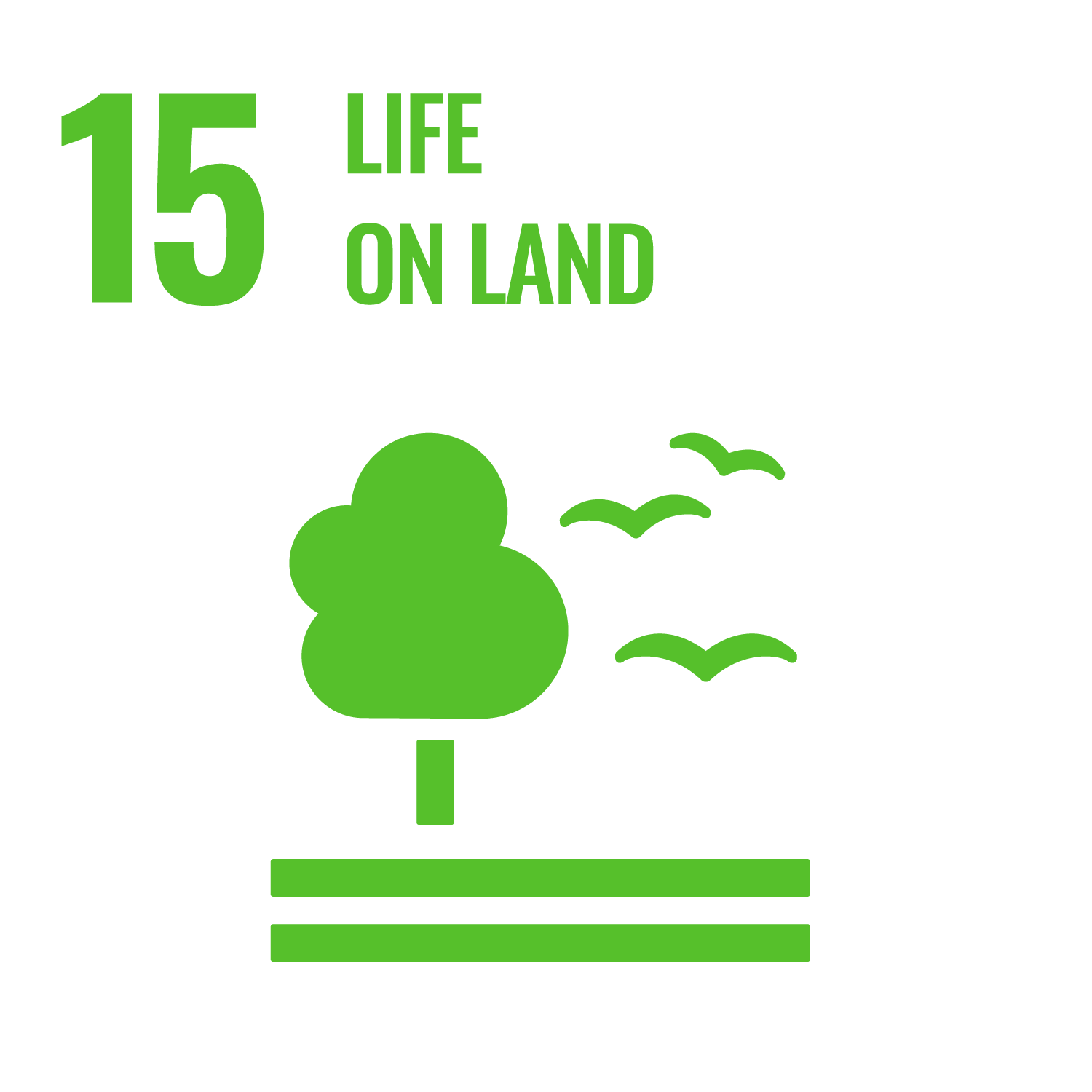 SDG_Icons_Inverted_Transparent_WEB-15.png