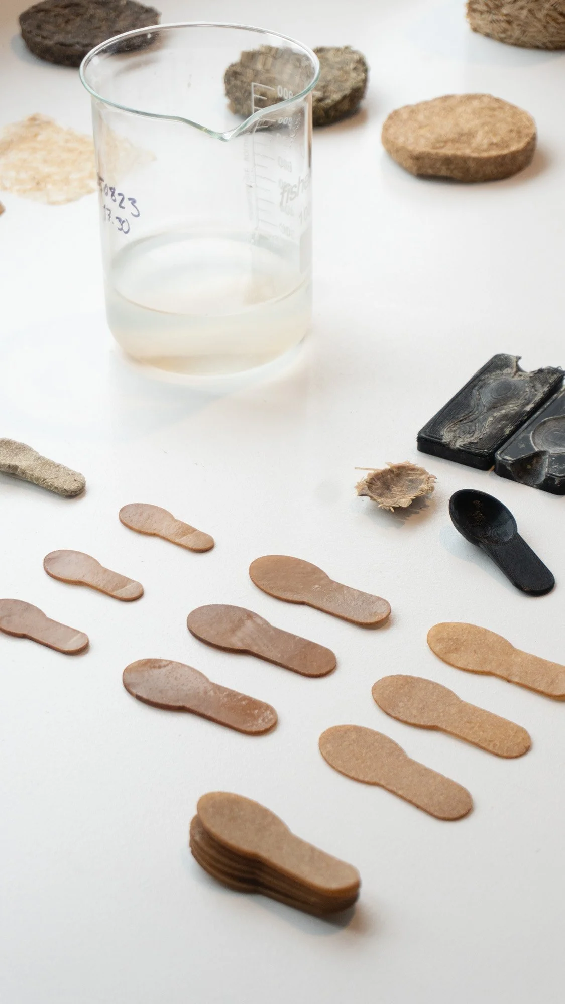 Oat biodegradable products
