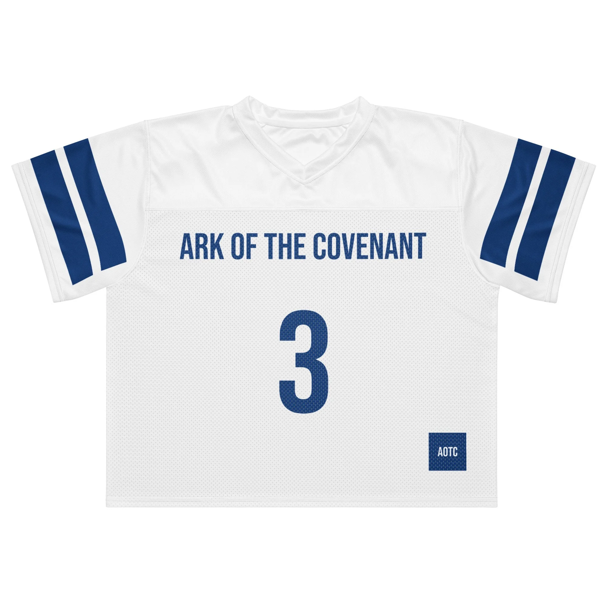 Ark of the Covenant Jersey White/Blue