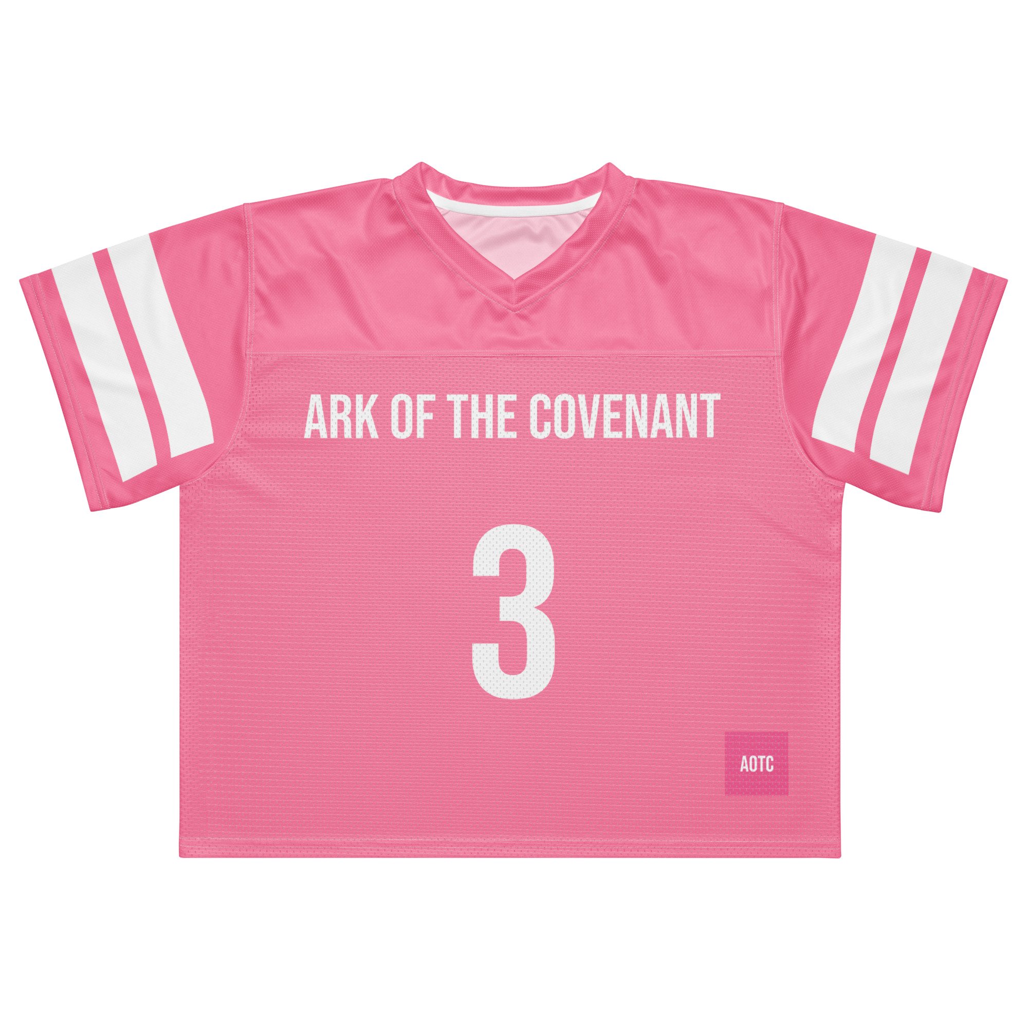 Ark of the Covenant Jersey Pink