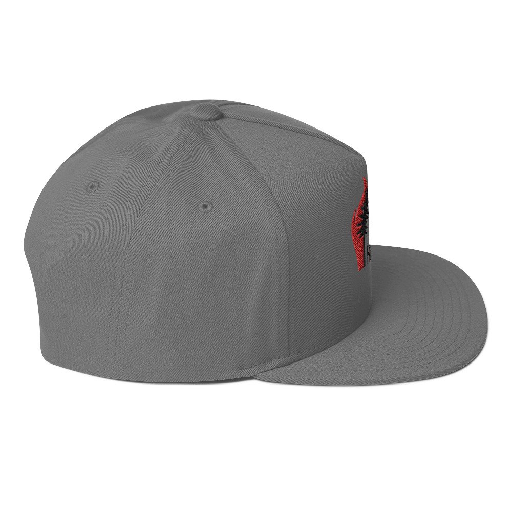 flat-bill-cap-grey-right-side-66a2668709763.jpg