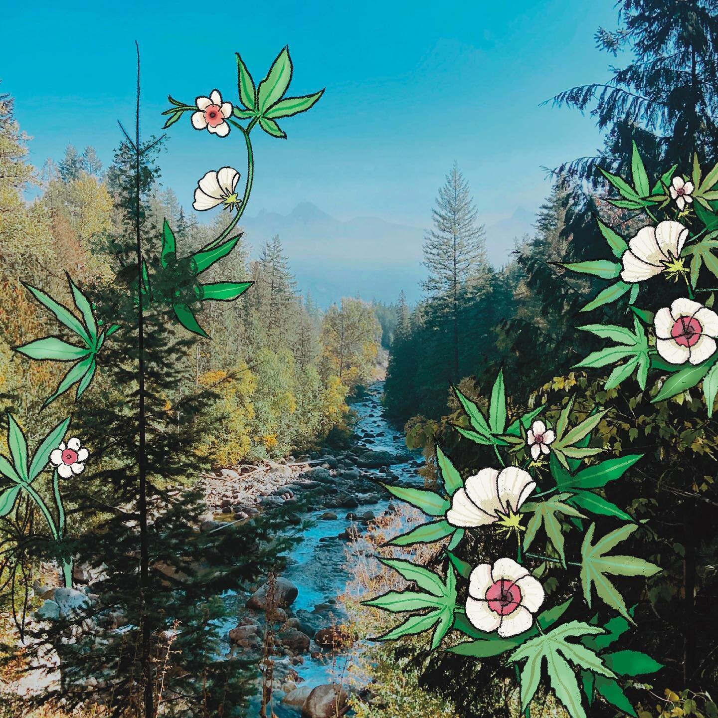 Fun little spring mixed media piece for @woody.nelson.cannabis 🌸🌱
.
.
.
.
#woodynelson #cannabisart #spring #blooming #flowers #bcnature #Kaslo
