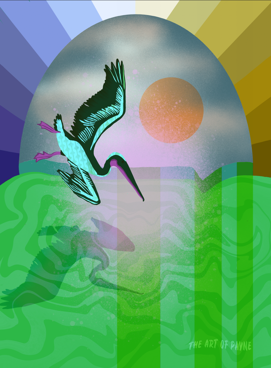 Psychedelic Pelican art diving into the ocean with colorful stripes