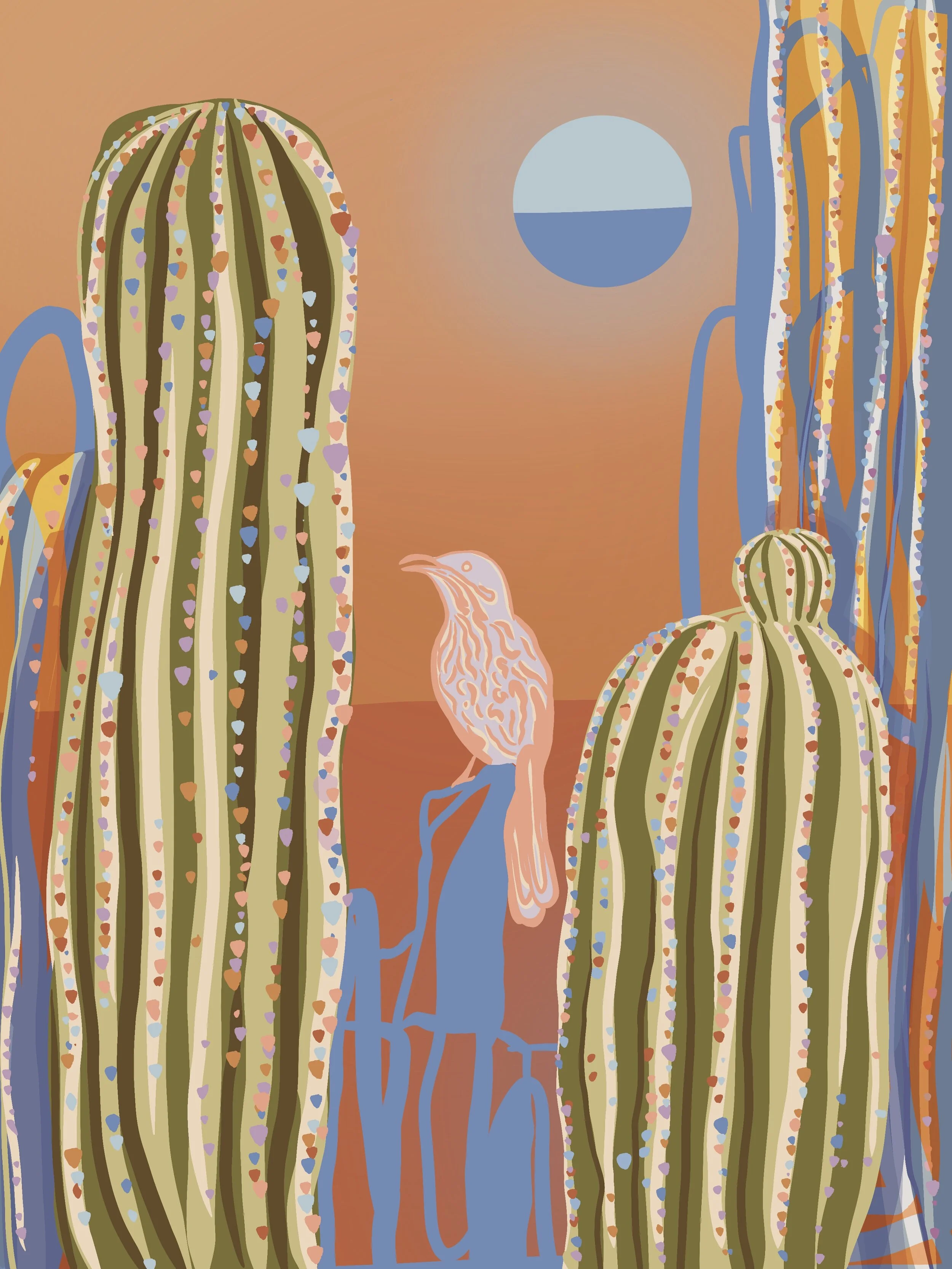 Cactus and desert bird illustration with sun