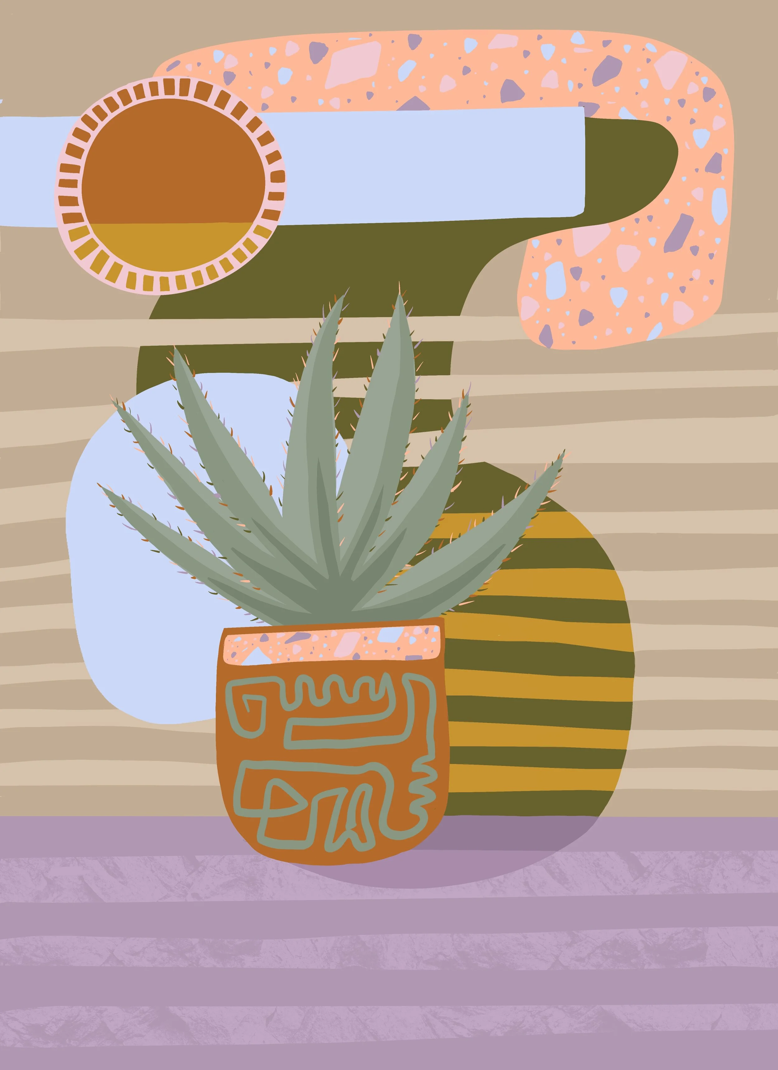 desert plant and patterns as a still ife