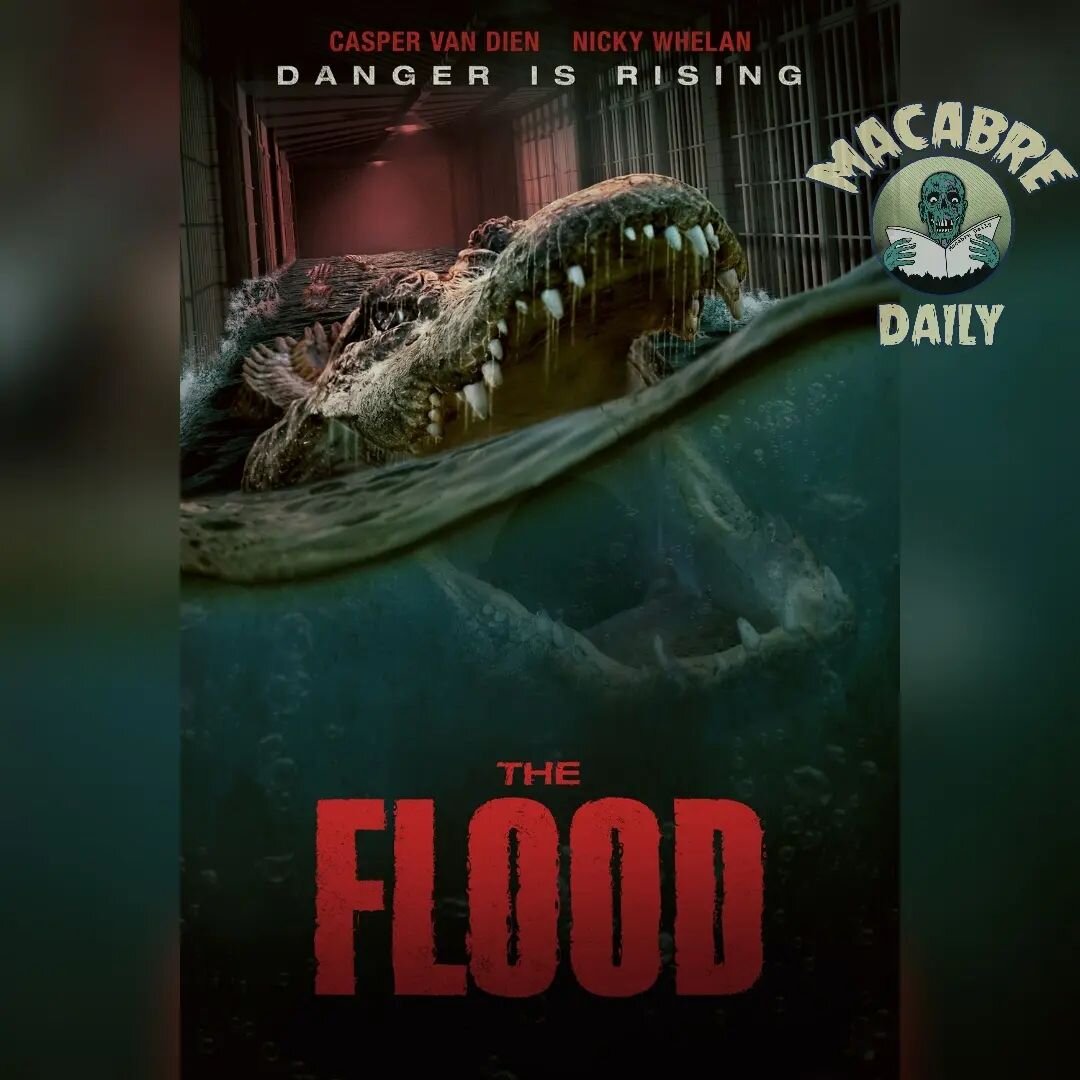 🚨NEW REVIEW ALERT!🚨

&lsquo;THE FLOOD&rsquo; (2023) PROVIDES A CAJUN SPICE OF TERROR WITH THIS NEW CREATURE FEATURE

Check out @macabre_christopher_reviews  at Macabredaily.com (Link In Stories)
