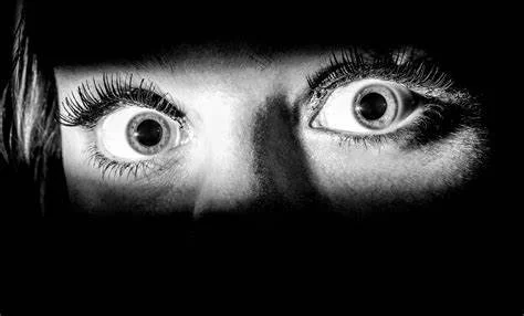 Face In Terror Why Are Horror Movies So Popular? — Macabre Daily