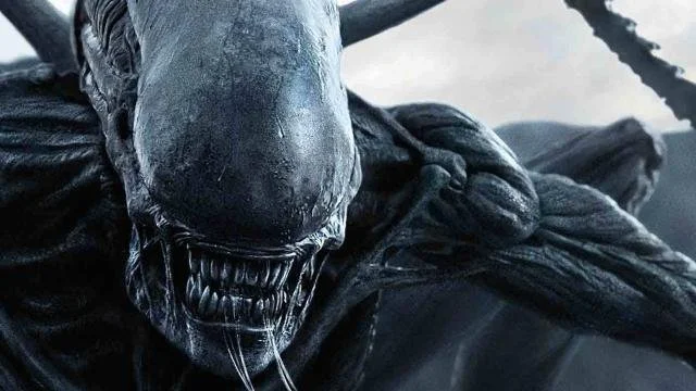 MacabreDaily's Top 10 Most Anticipated Films Of 2024 — Macabre Daily