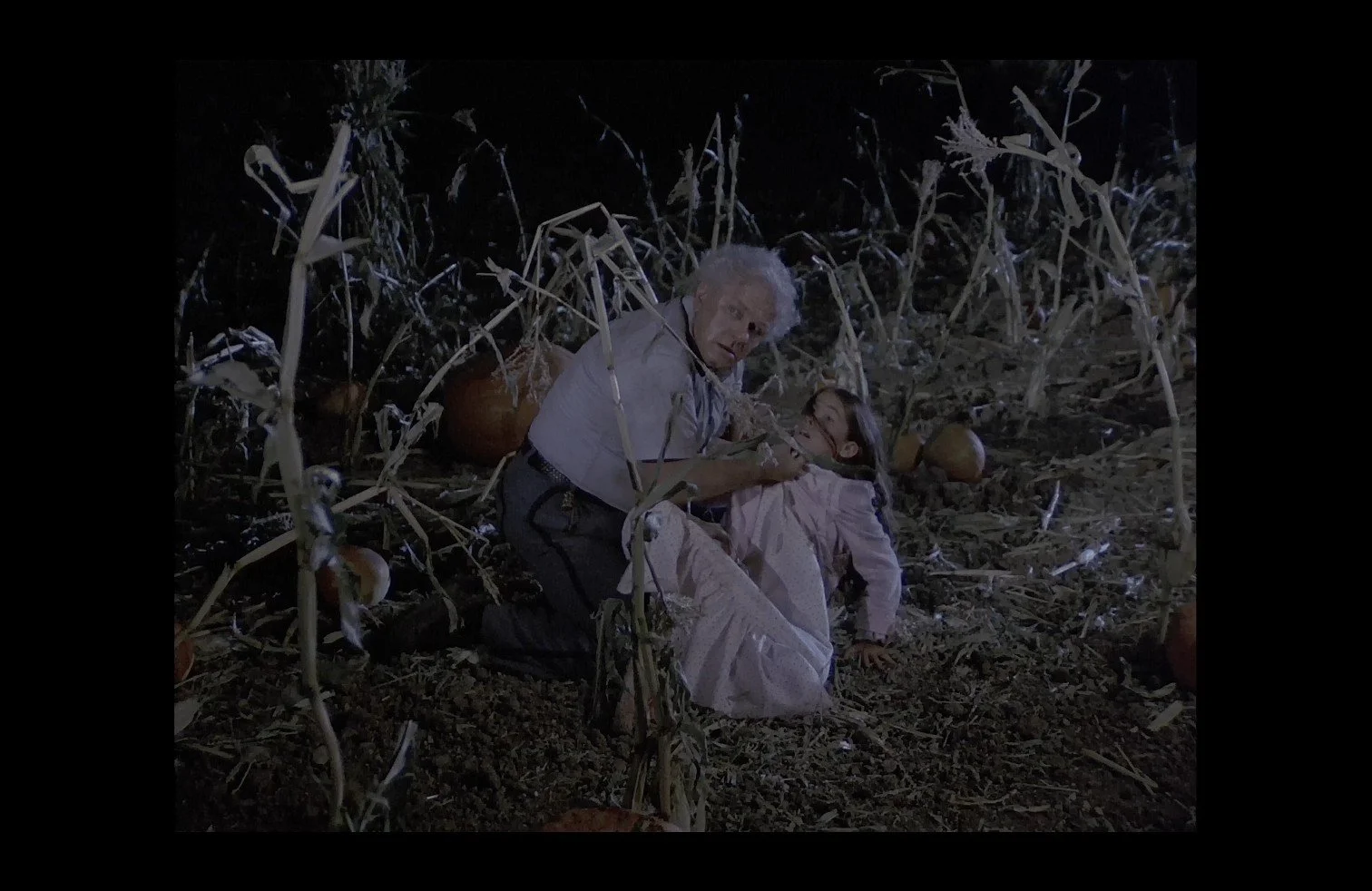 COLLECTOR'S CRYPT - DARK NIGHT OF THE SCARECROWS: DOUBLE-FEATURE