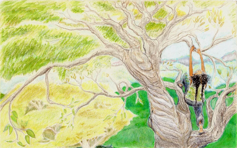 Above the Canopy - The air is so thin up here...