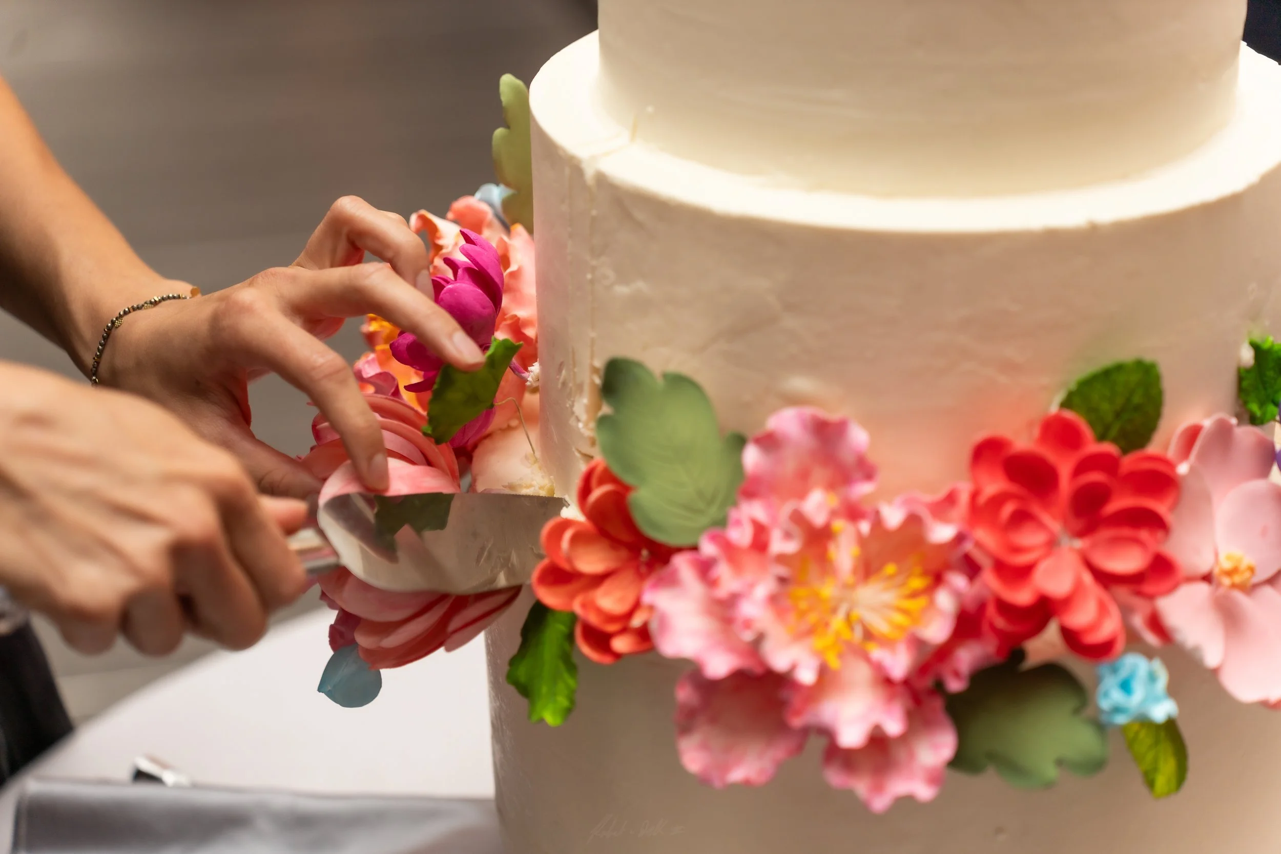 Charlotte Wedding Photographer