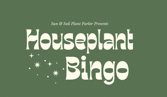 Houseplant Bingo