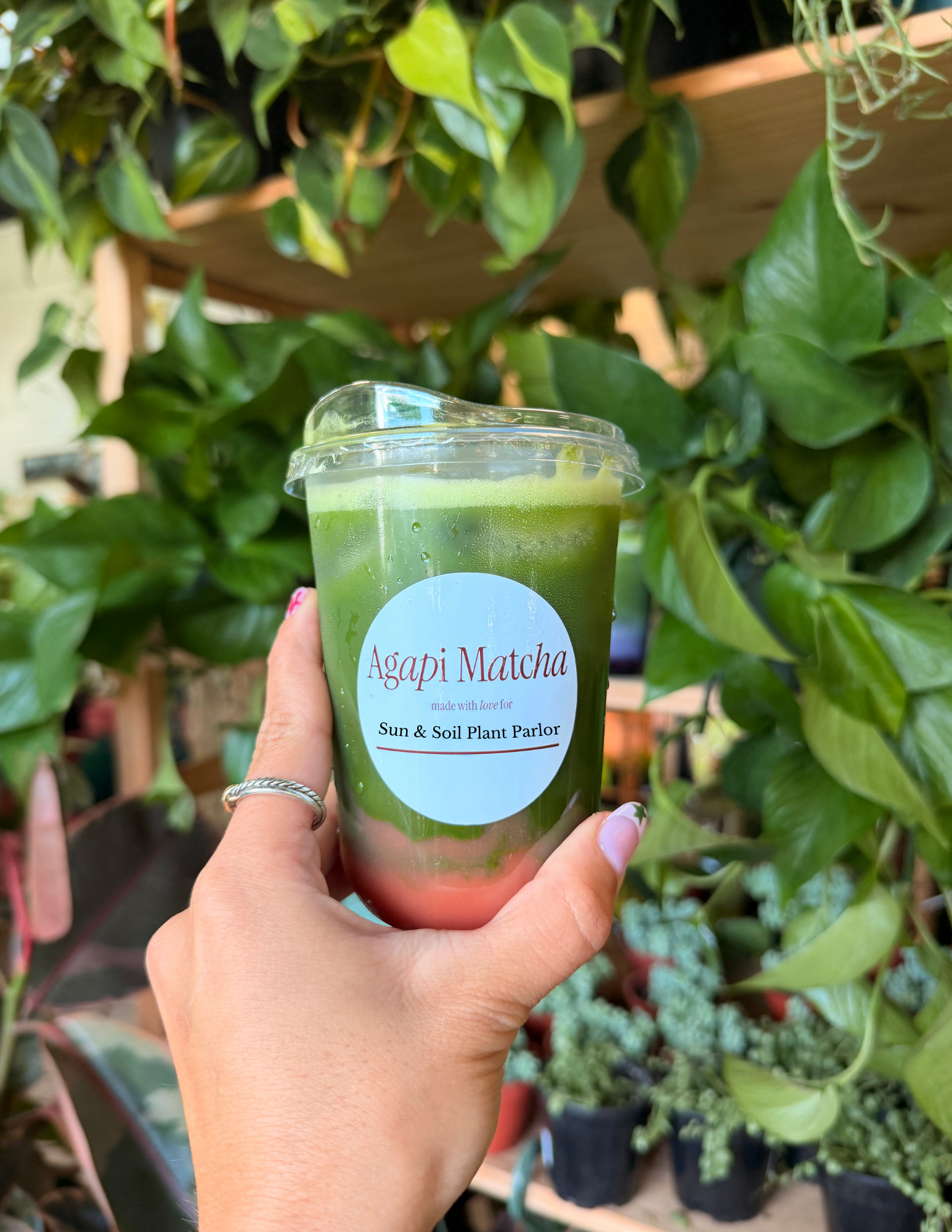 Agapi Matcha Pop Up 