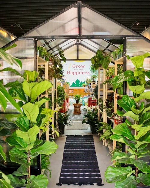 Sun and Soil Plant Parlor, flowers and gifts store in Greenville, photo 4 of 5