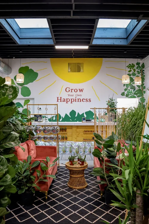 Sun and Soil Plant Parlor, flowers and gifts store in Greenville, photo 2 of 5