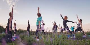 Yoga in lavendar.jfif