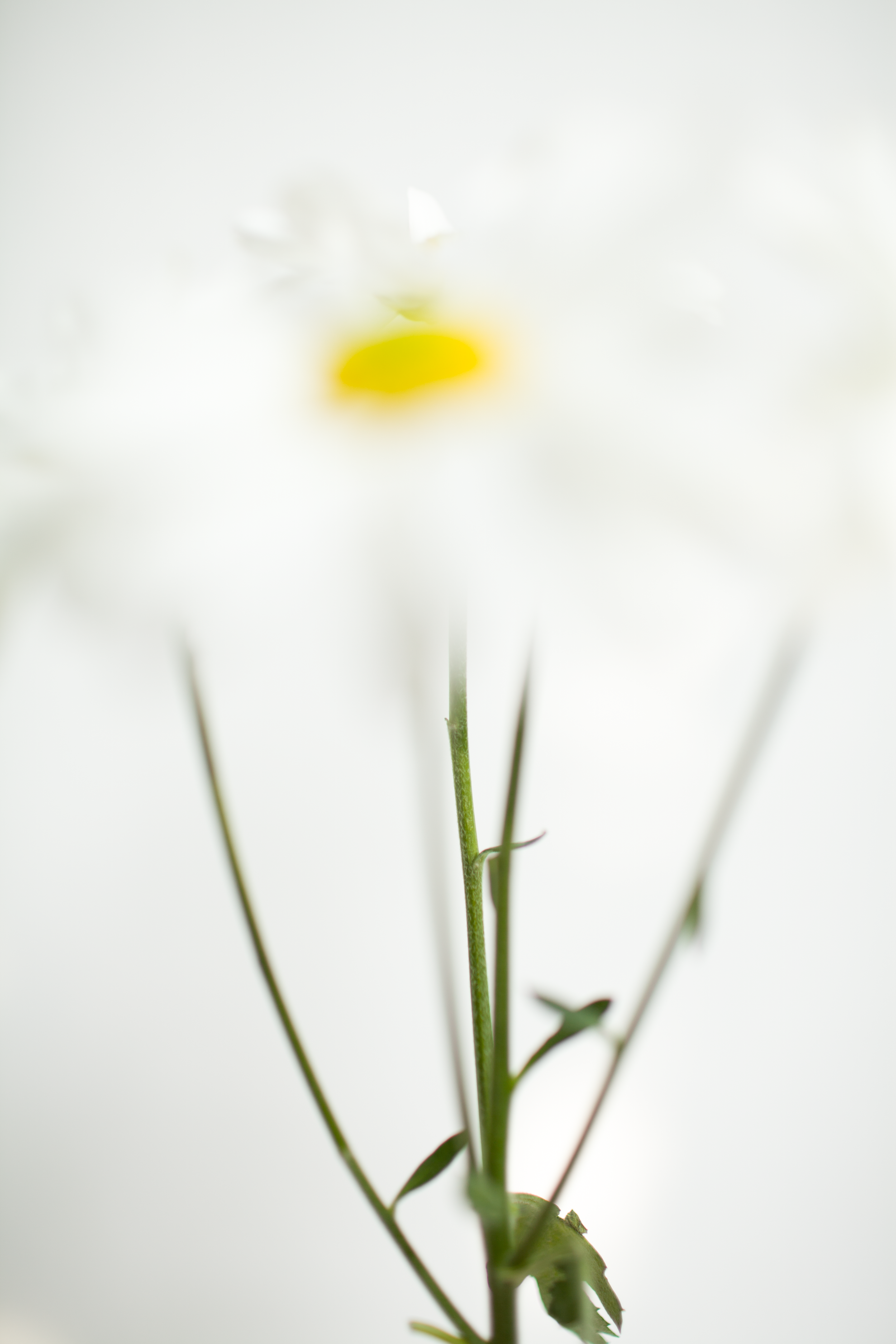 IMG_6933.png