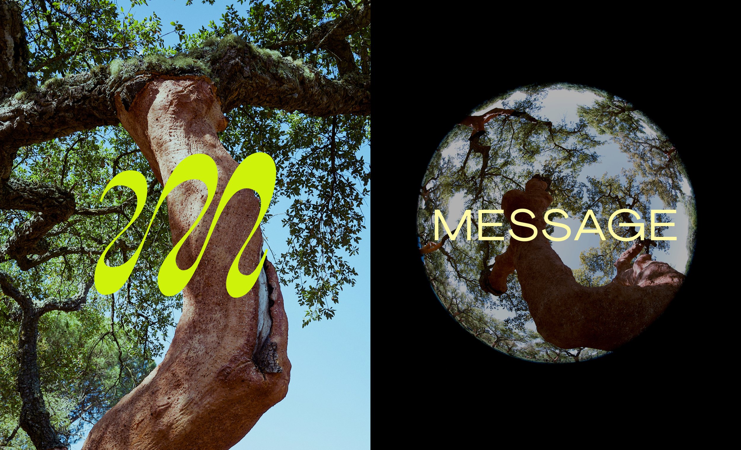 MESSAGE_portfolio_assets_8.jpg