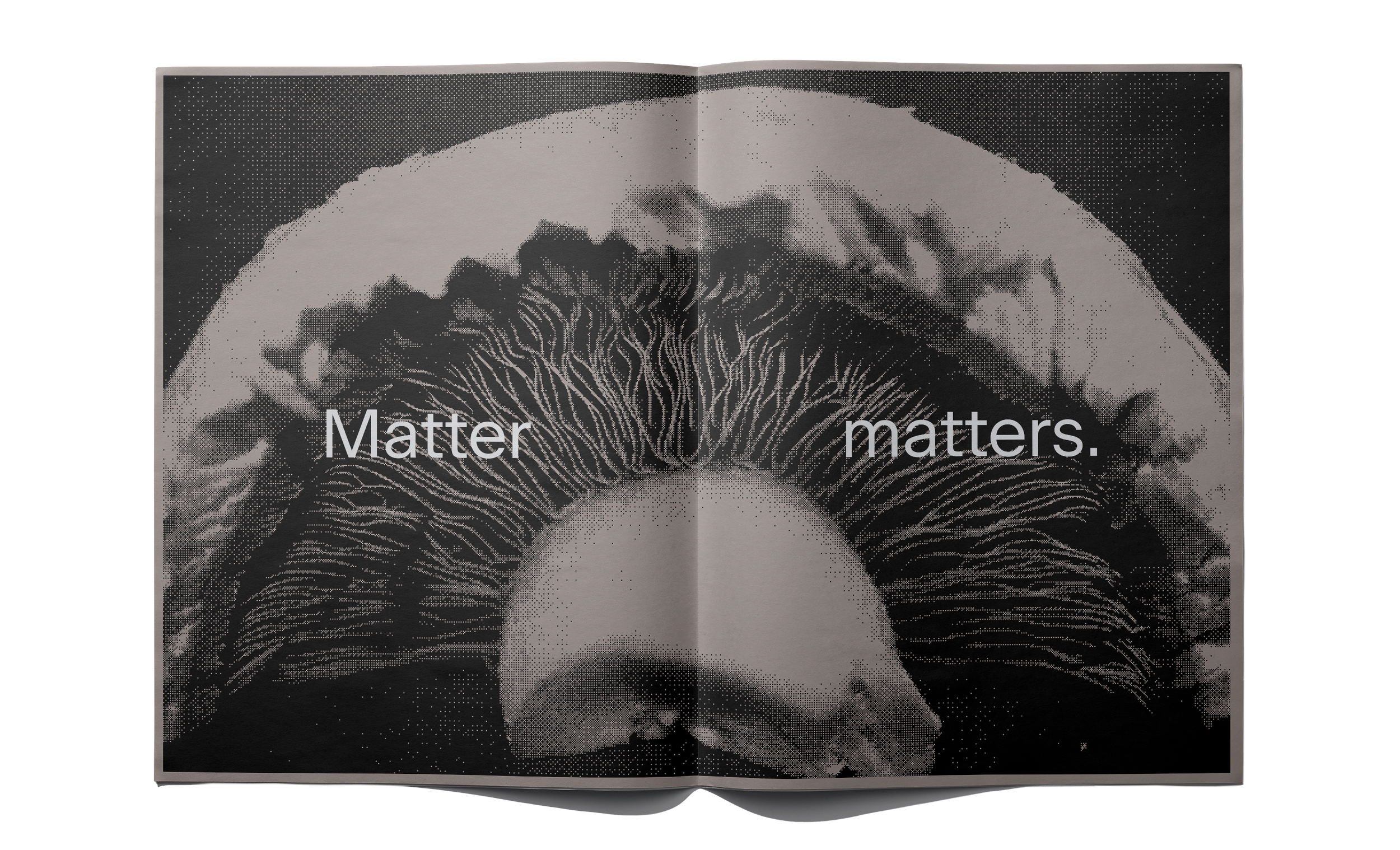 Message_brandbook_MOCK01_fixmask.png