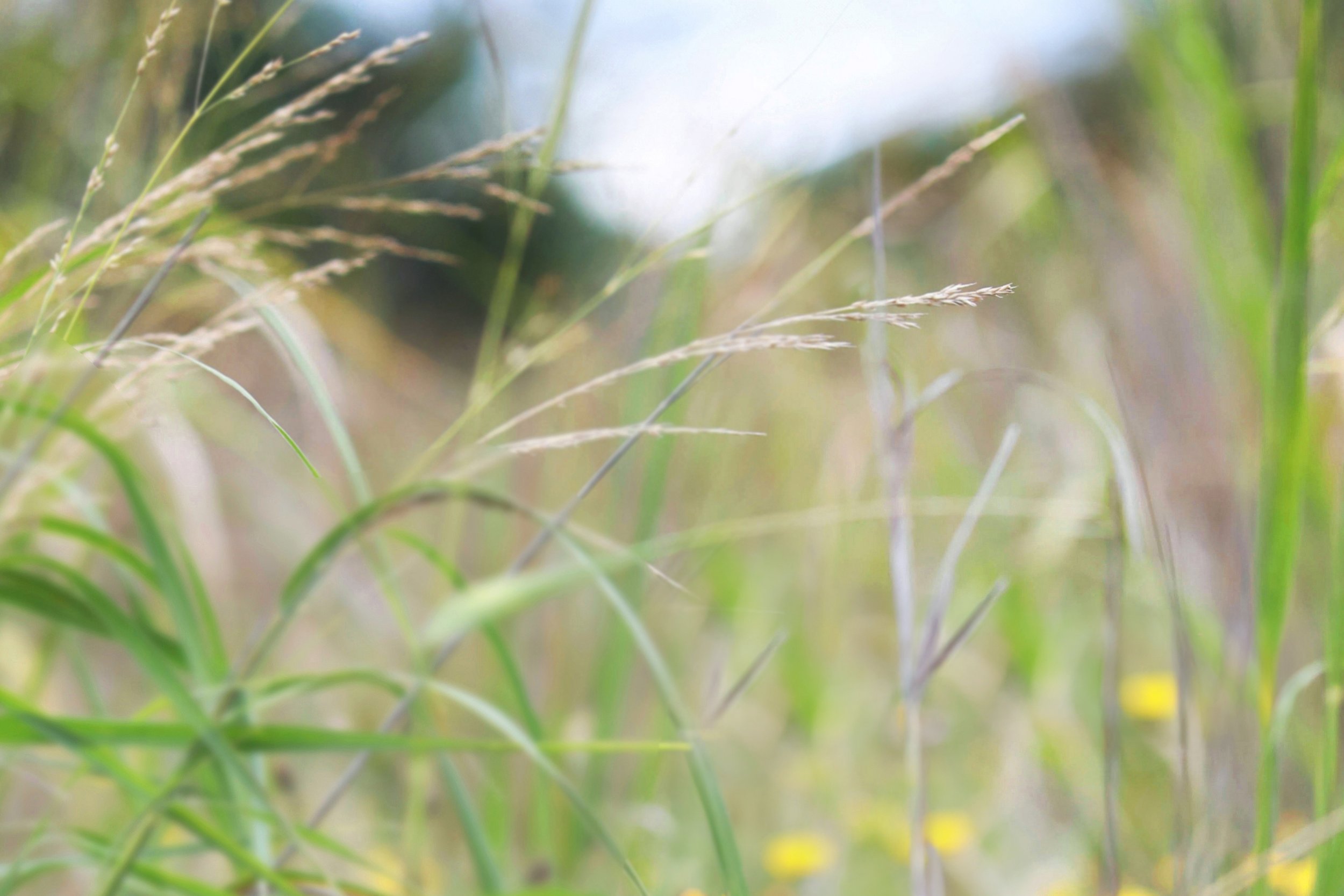 Nature Landscape Photography Workshop with Lara Robby