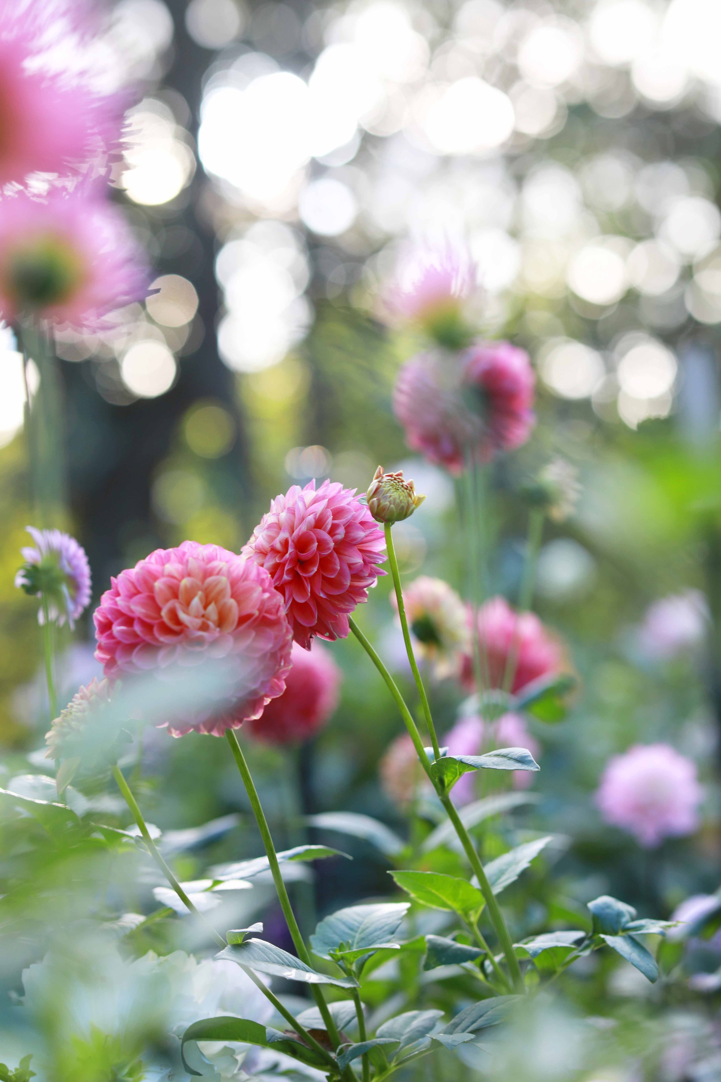 Nature Landscape Photography Workshop with Lara Robby
