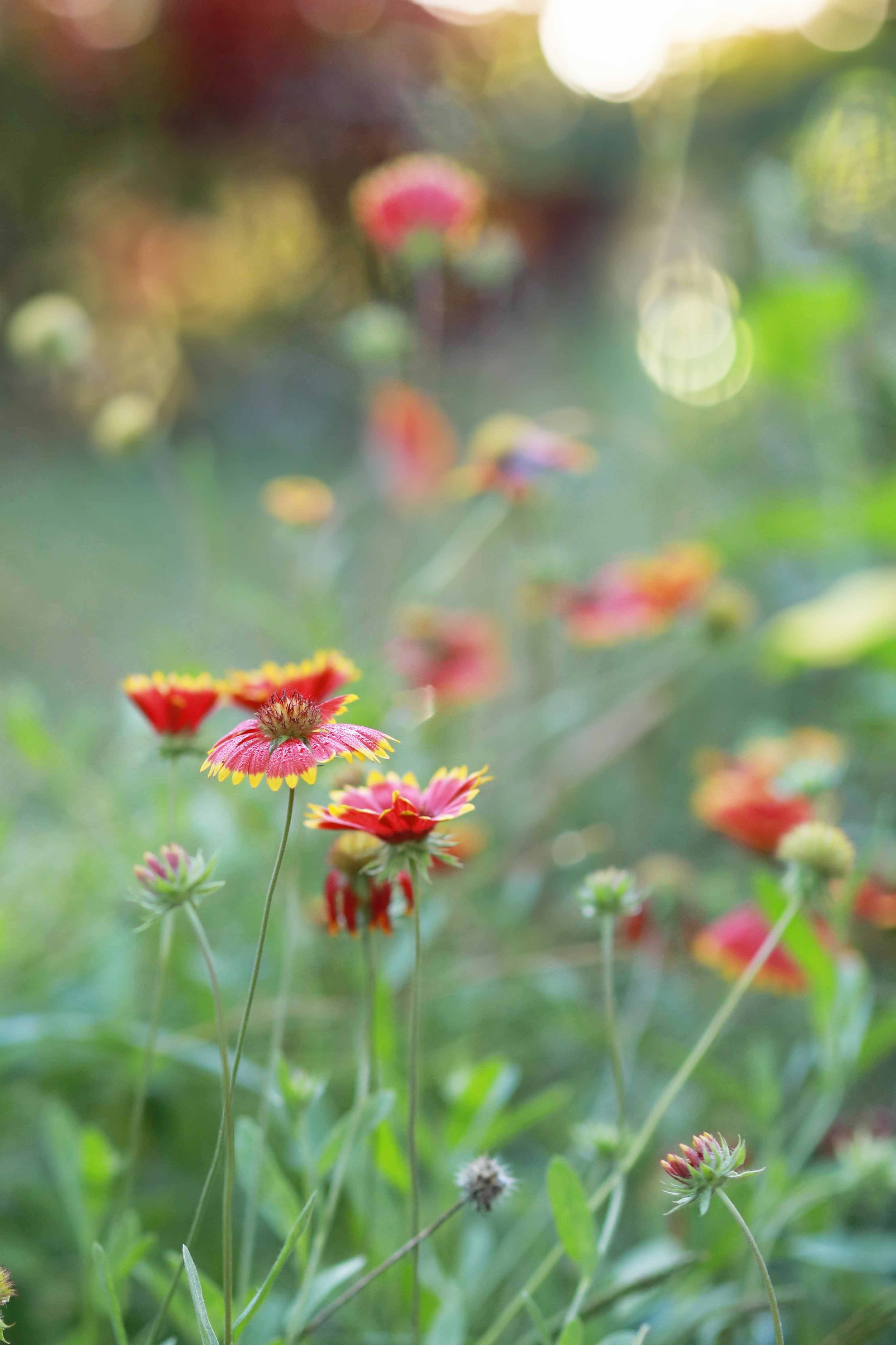 Nature Landscape Photography Workshop with Lara Robby