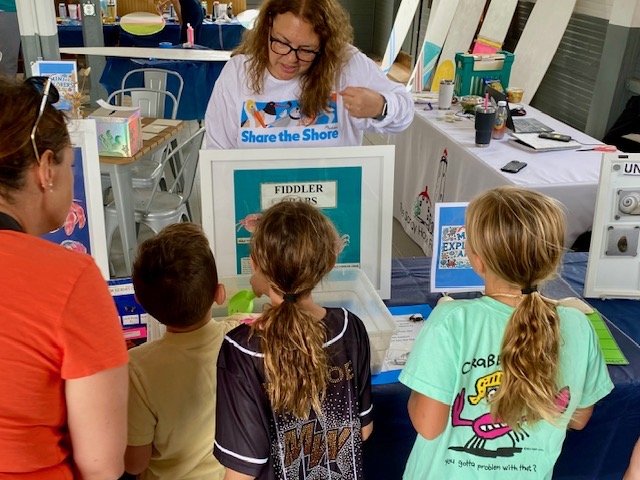 Family Fun Fridays - “What’s In a Shell” with Marine Mentors