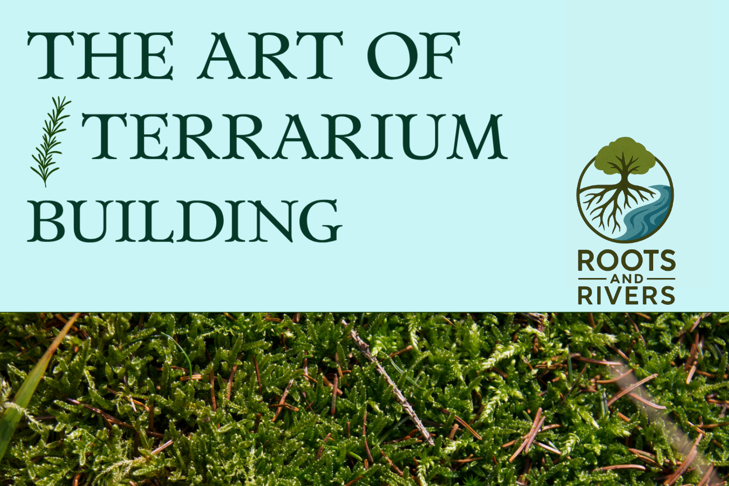 Terrarium Building Workshop