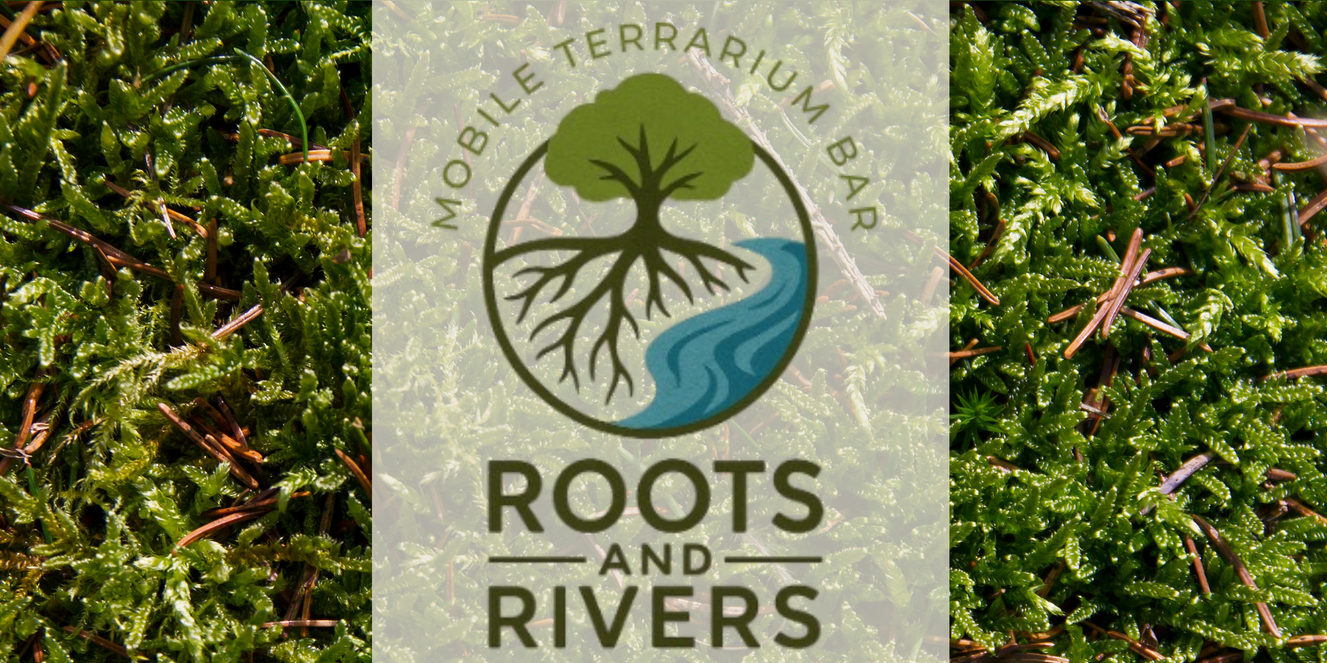 Terrarium Building Workshop