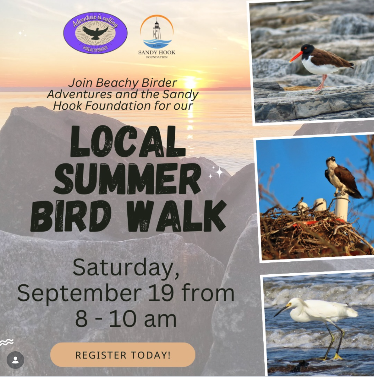 Locals Summer Bird Walk