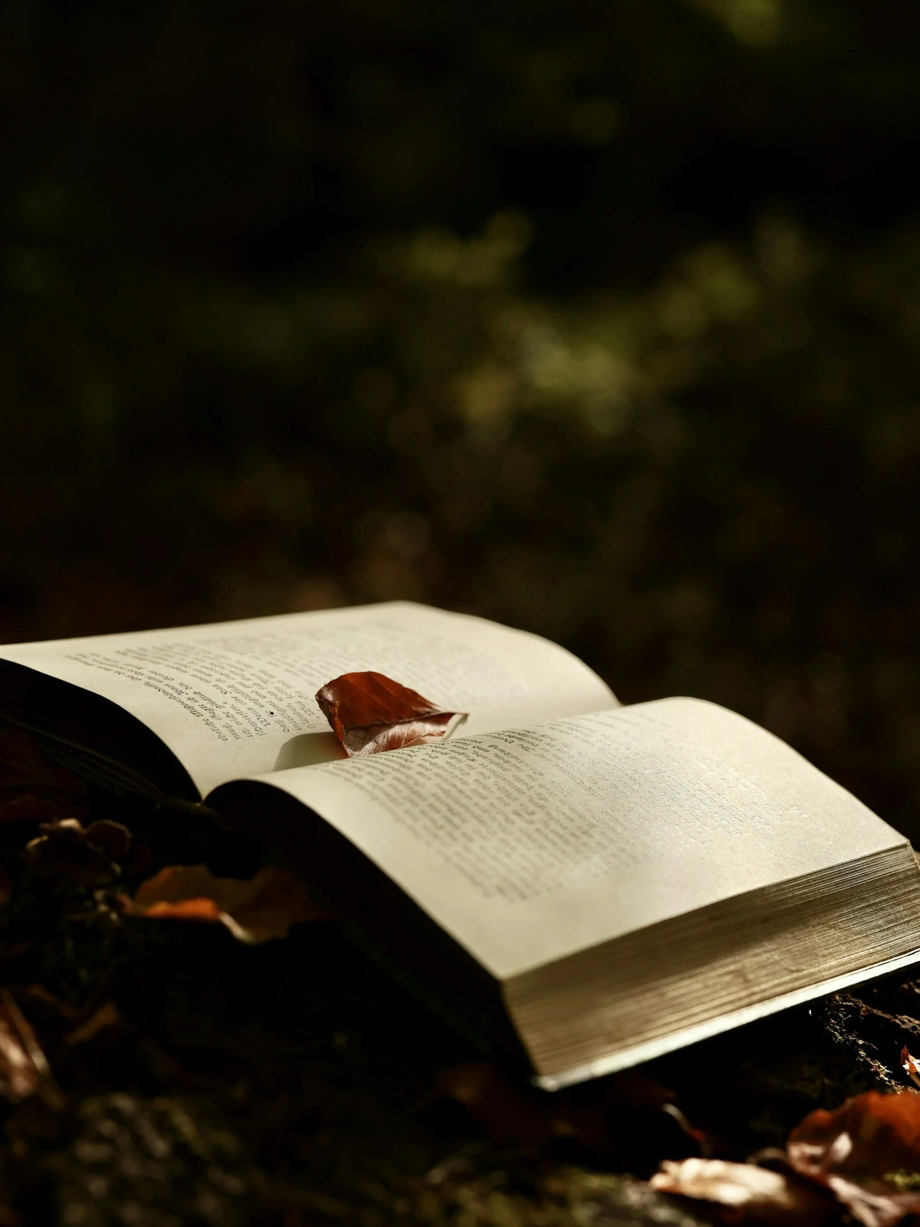 open book with leaf on top