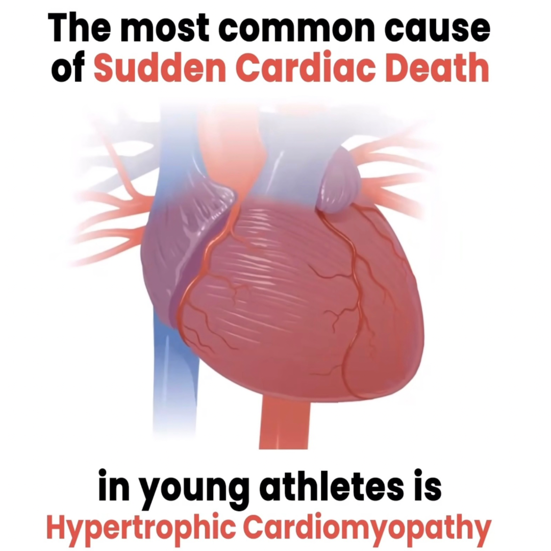 Untitled design 6.PNG