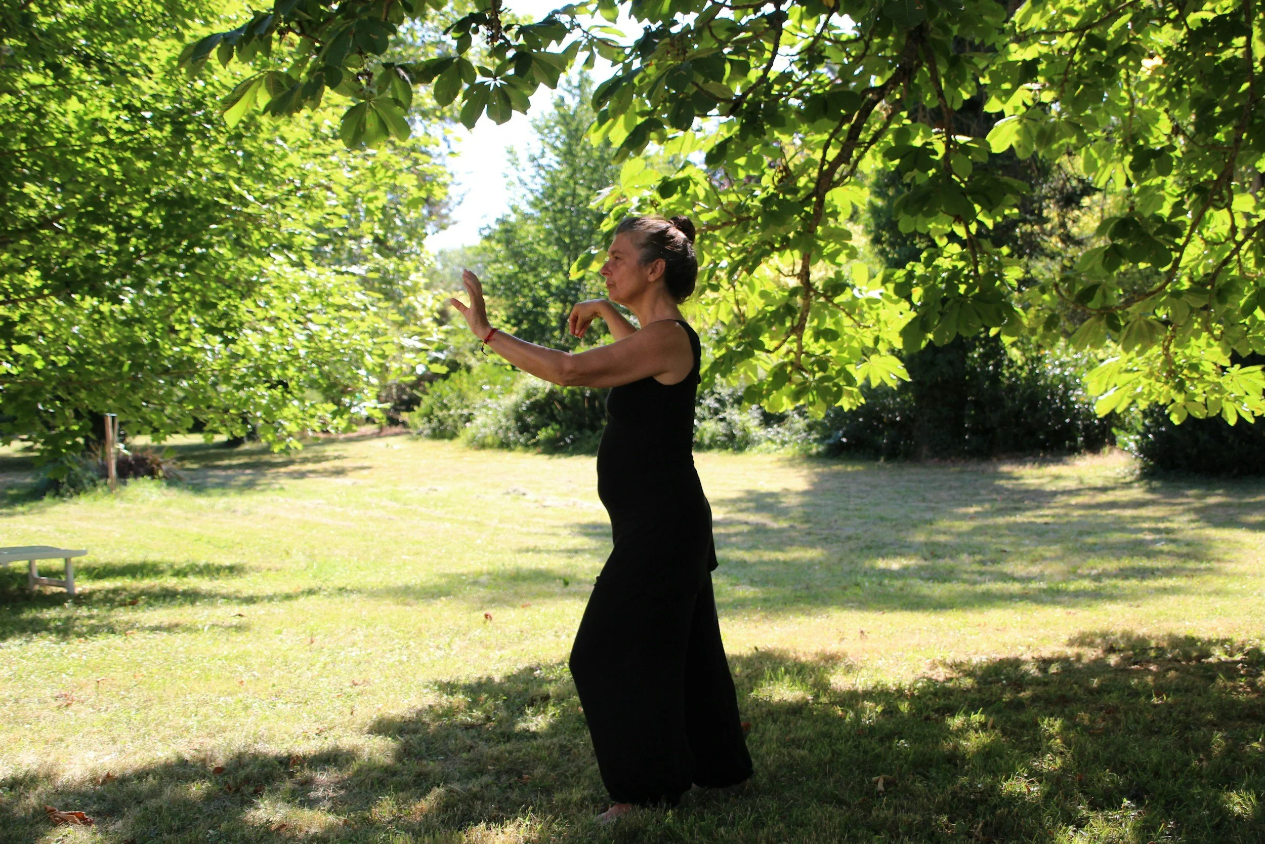A woman practicing yoga outdoors beneath a leafy tree in a park on a sunny day.