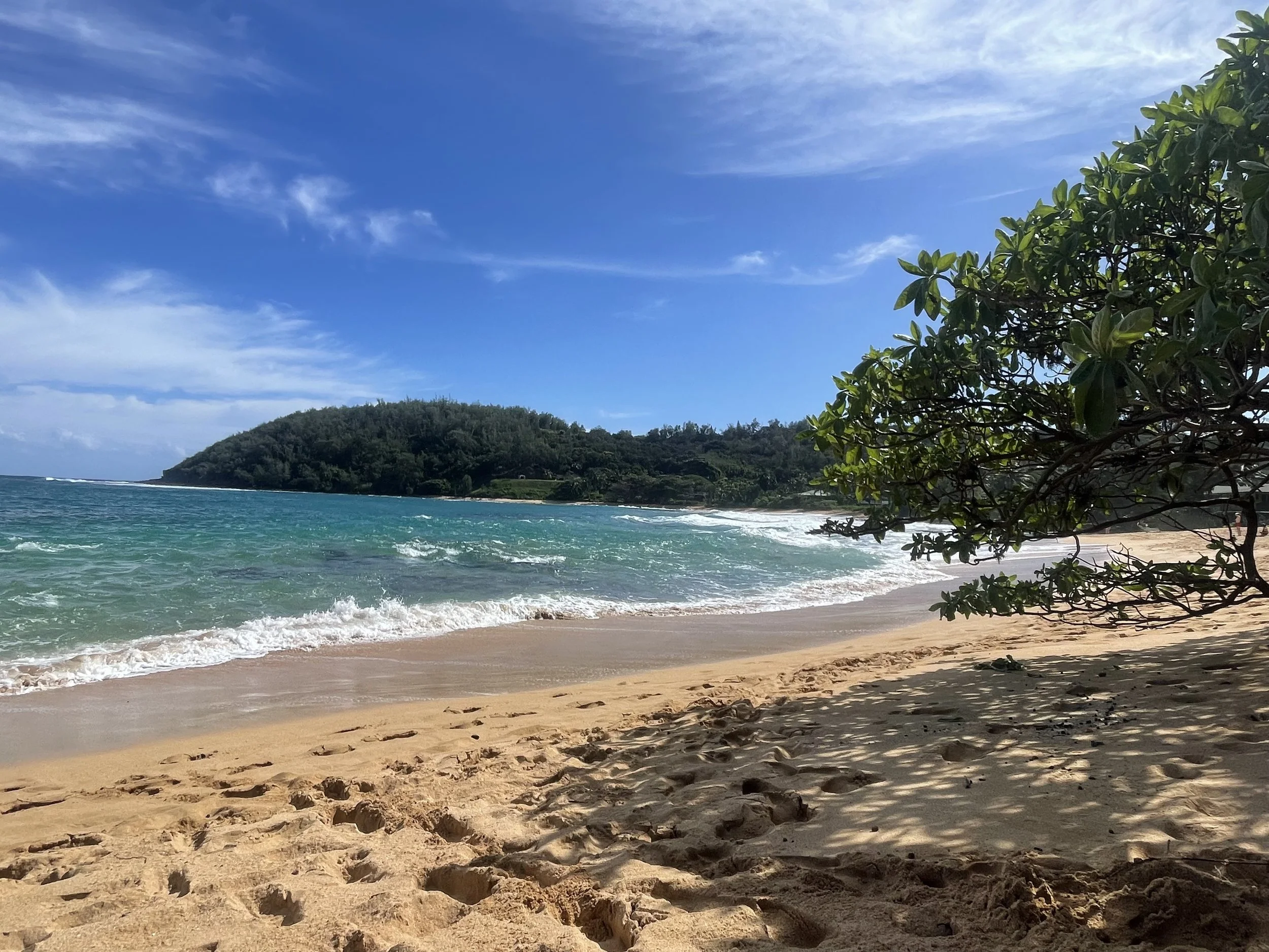 kauai beach pic copy.jpg