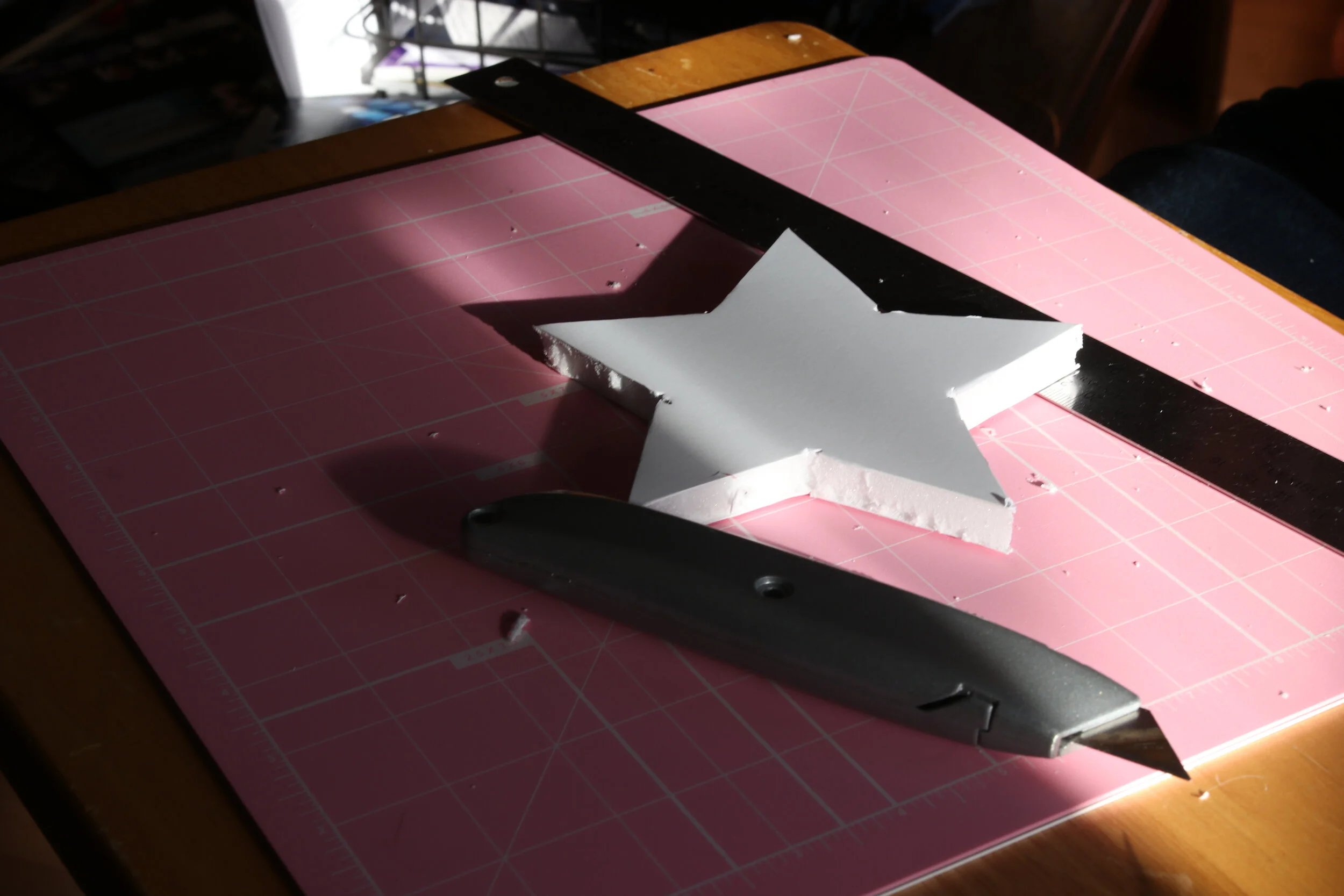 20190325 Photo Story AM 0051.JPG