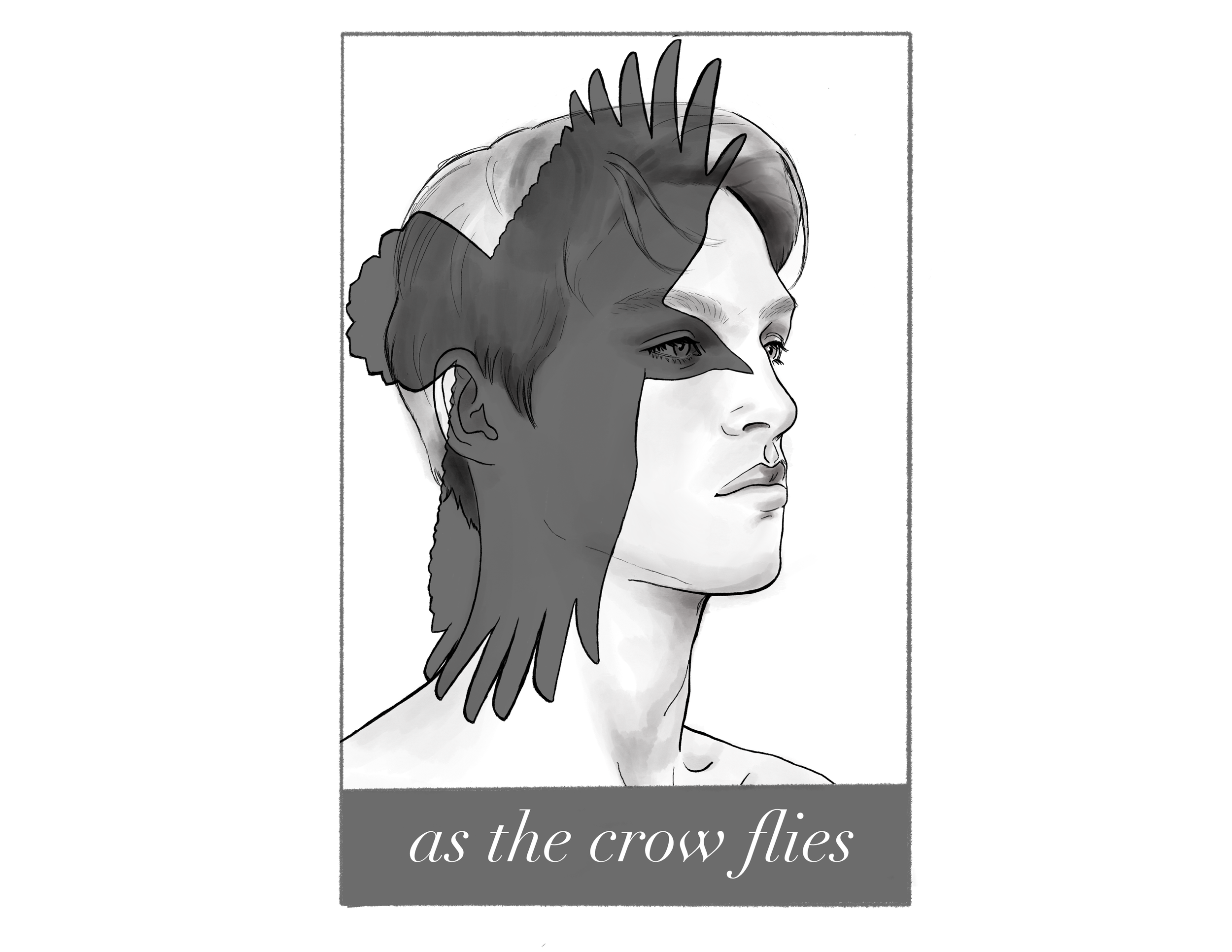 squarespace front cover edit 1.png