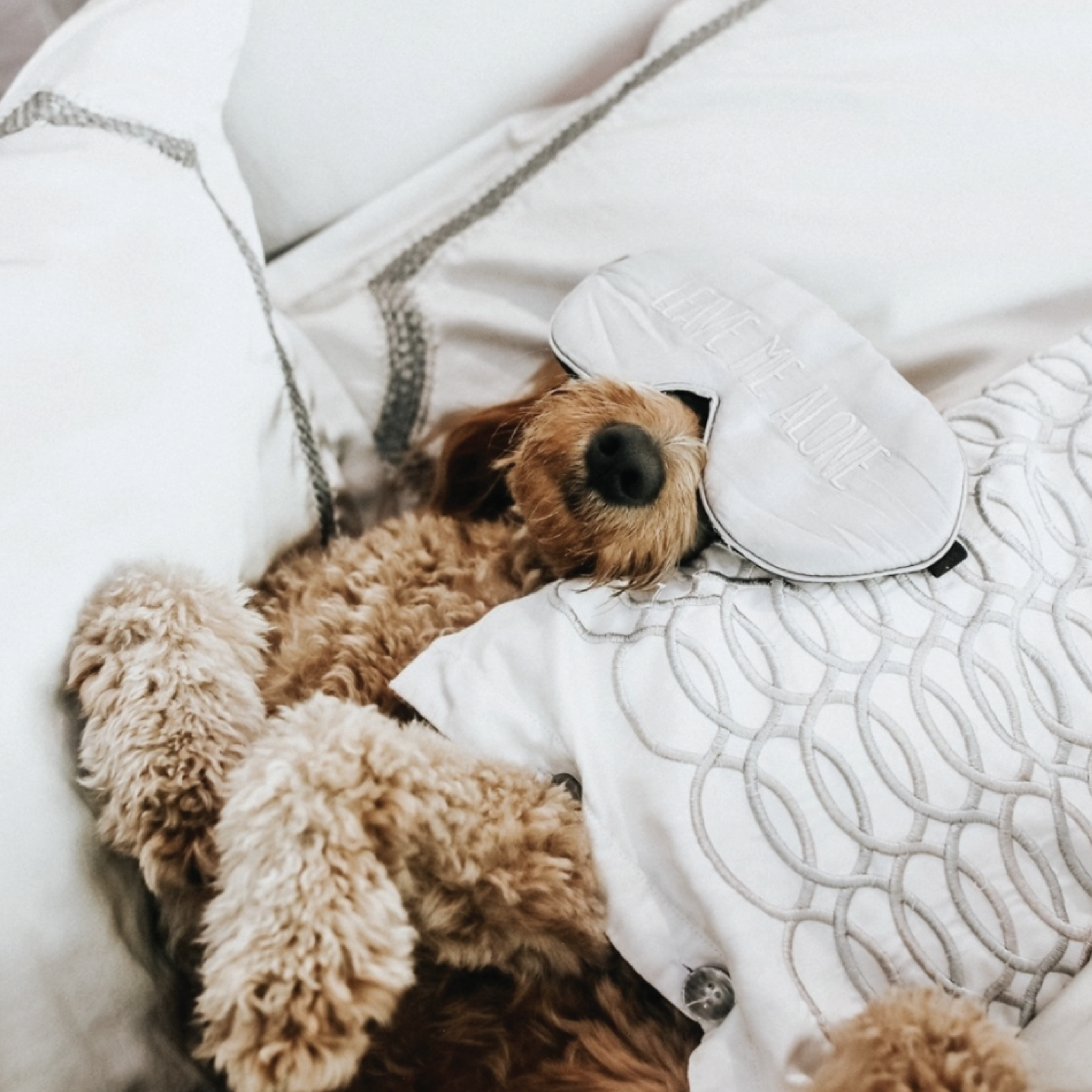 5 Tips To Make The Most Out Of Your Mornings!